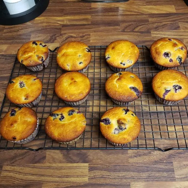 FRUIT EXPLODING MUFFIN