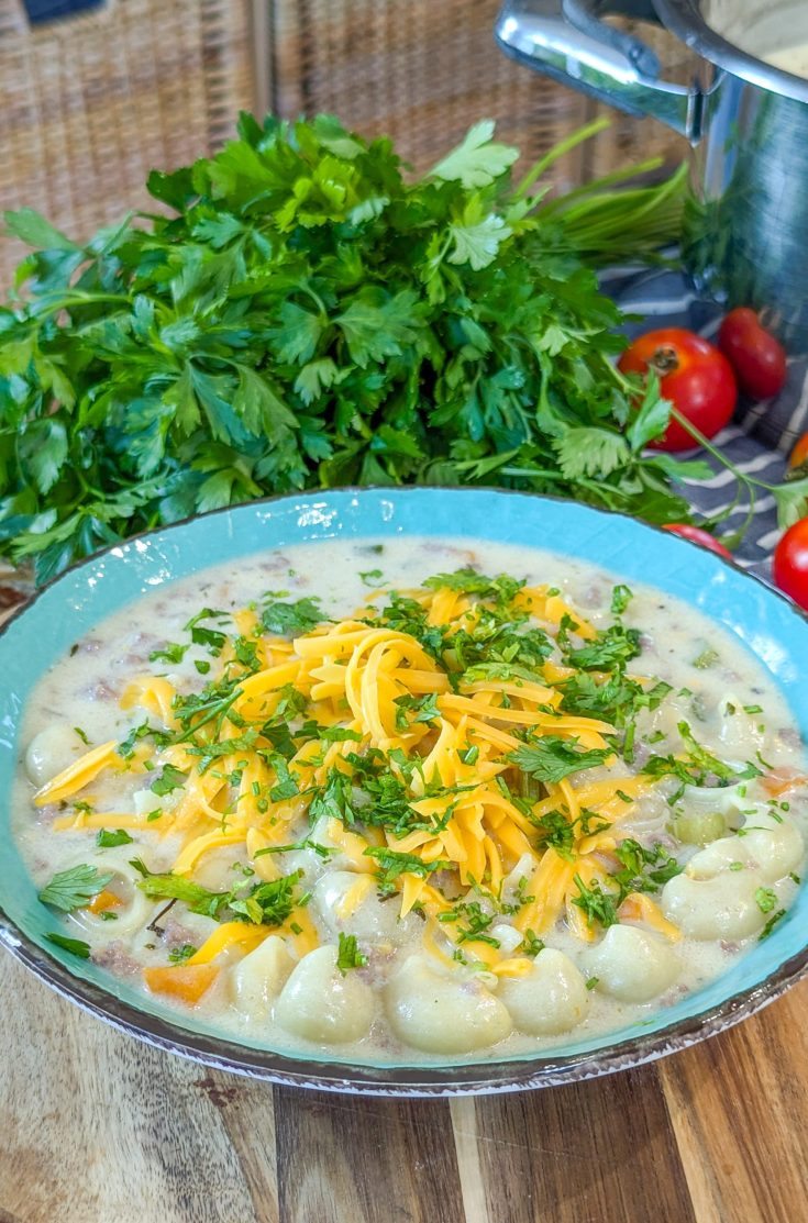 Macaroni cheeseburger soup